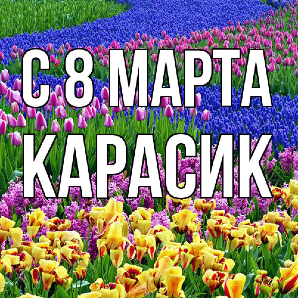 Открытка на каждый день с именем, карасик C 8 МАРТА цветы Прикольная открытка с пожеланием онлайн скачать бесплатно 