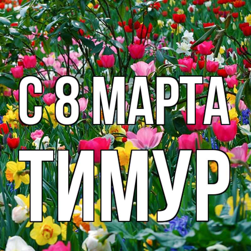 Картинка C 8 МАРТА, Тимур