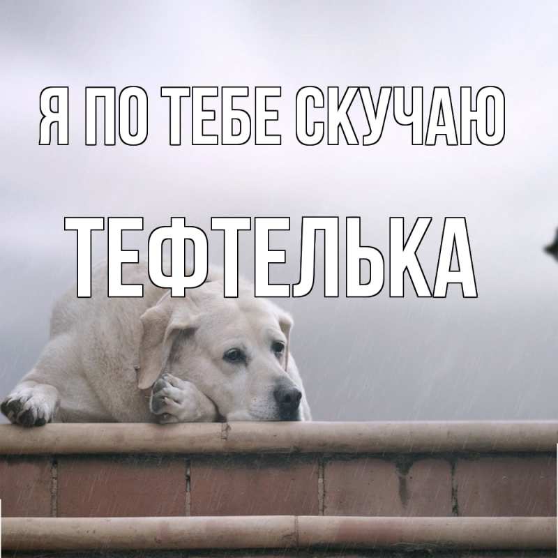 Картинка Я по тебе скучаю, тефтелька