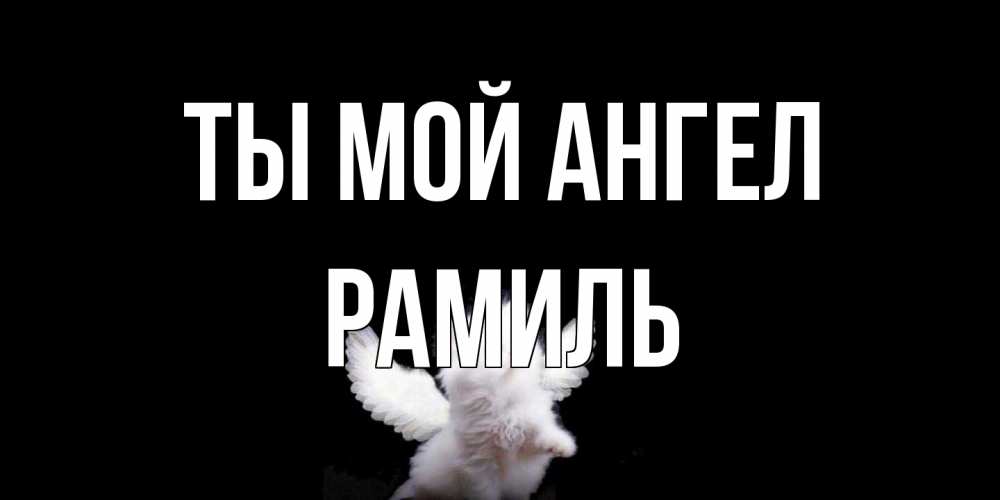 Открытка на каждый день с именем, Рамиль Ты мой ангел Кот ангел Прикольная открытка с пожеланием онлайн скачать бесплатно 