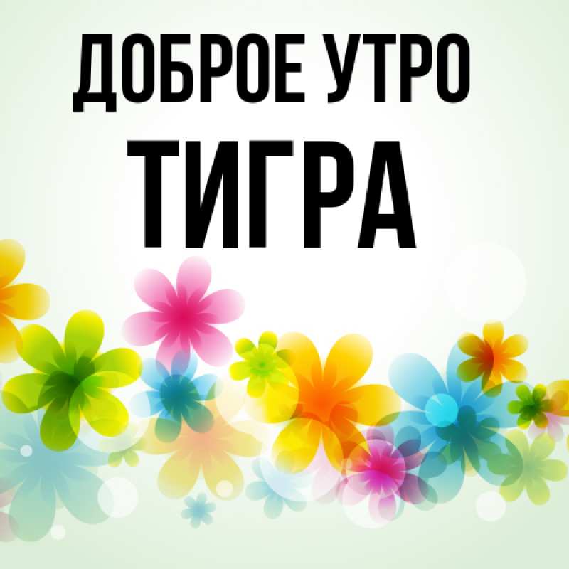 Картинка Доброе утро, Тигpа