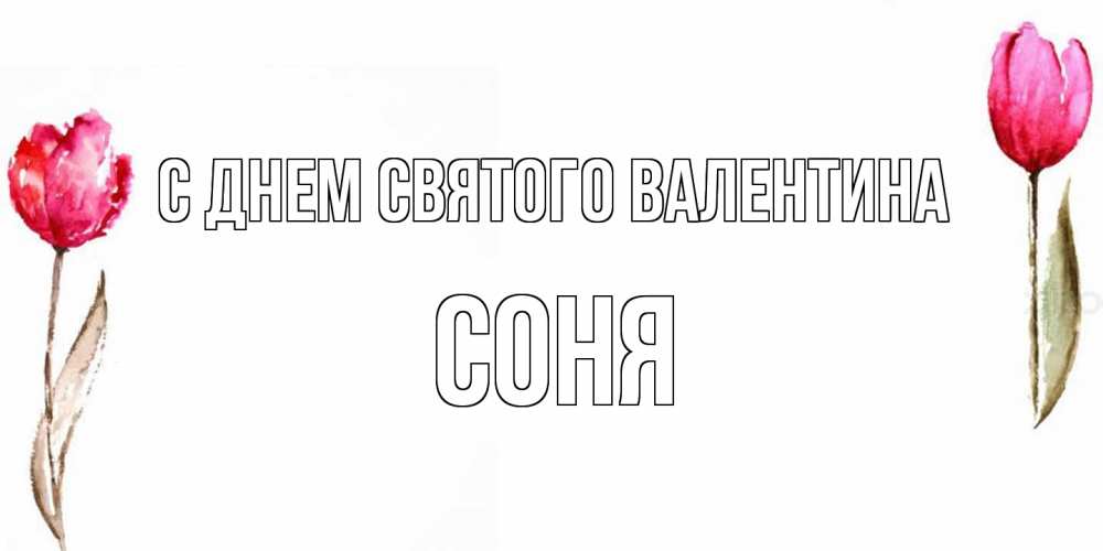 Открытка на каждый день с именем, Соня С днем Святого Валентина Открытки на день всех влюбленных с тюльпанами акварелью Прикольная открытка с пожеланием онлайн скачать бесплатно 
