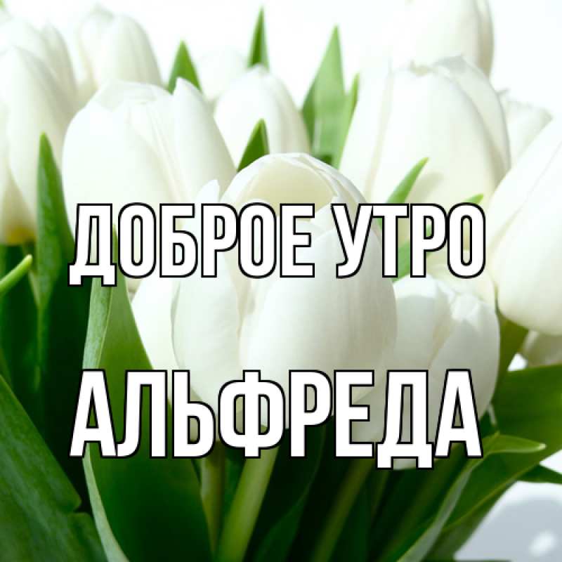 Картинка Доброе утро, Альфреда