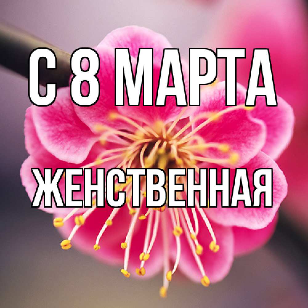 Открытка на каждый день с именем, женственная C 8 МАРТА цветы Прикольная открытка с пожеланием онлайн скачать бесплатно 