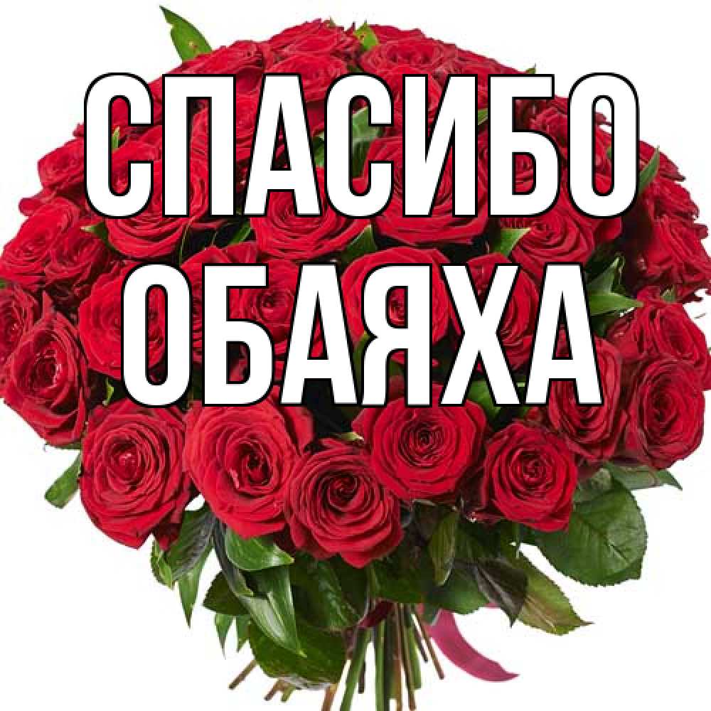 Открытка на каждый день с именем, Обаяха Спасибо букет красных роз Прикольная открытка с пожеланием онлайн скачать бесплатно 