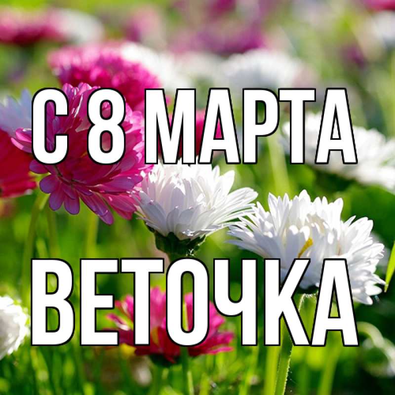 Картинка C 8 МАРТА, Веточка