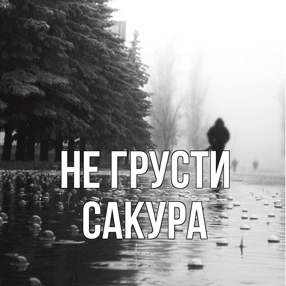 Открытка на каждый день с именем, Сакура Не грусти улица под дождем Прикольная открытка с пожеланием онлайн скачать бесплатно 