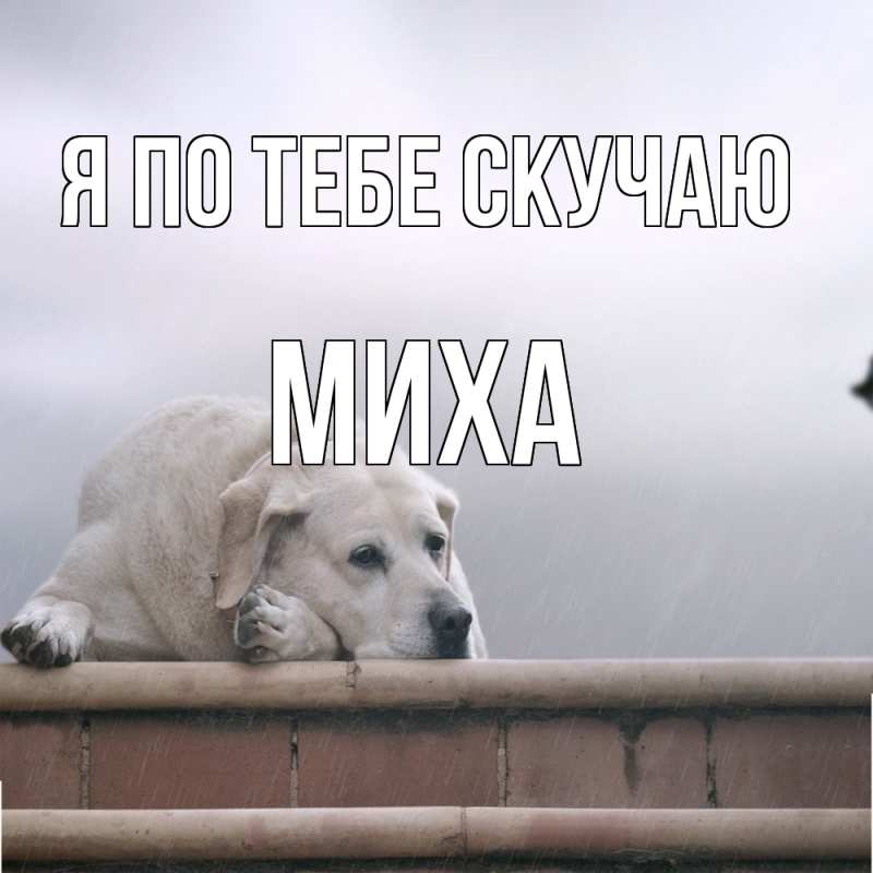 Картинка Я по тебе скучаю, Миха