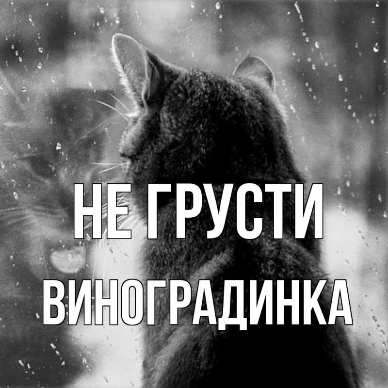 Картинка Не грусти, виноградинка