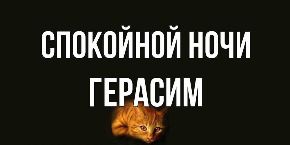 Открытка на каждый день с именем, Герасим Спокойной ночи кот Прикольная открытка с пожеланием онлайн скачать бесплатно 