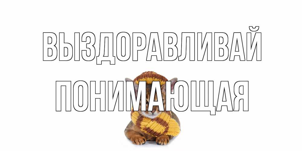 Открытка на каждый день с именем, Понимающая Выздоравливай родные не болейте Прикольная открытка с пожеланием онлайн скачать бесплатно 