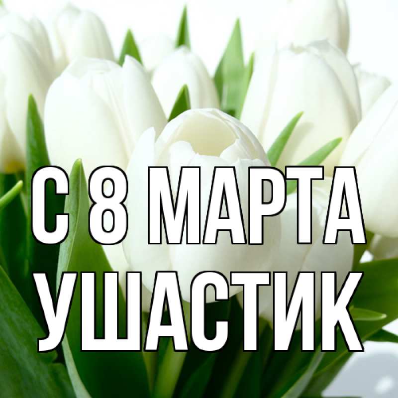Картинка C 8 МАРТА, Ушастик