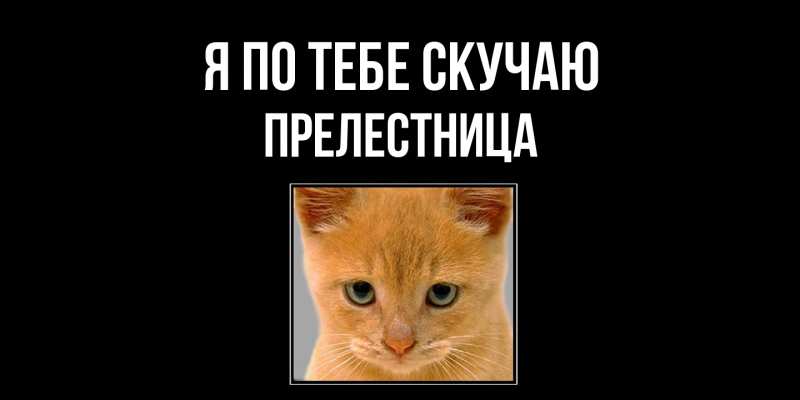 Картинка Я по тебе скучаю, пpелестница