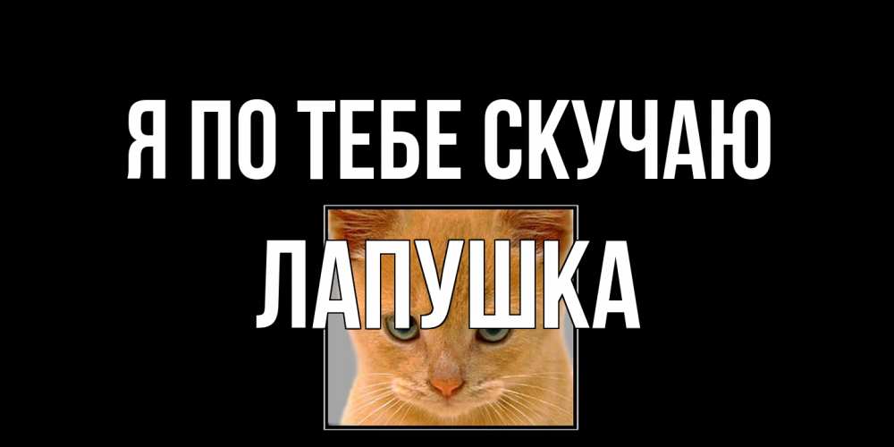 Открытка на каждый день с именем, лапушка Я по тебе скучаю открытки рыжий котенок скучает по тебе Прикольная открытка с пожеланием онлайн скачать бесплатно 