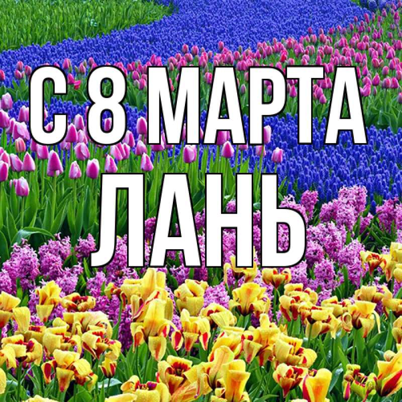 Картинка C 8 МАРТА, лань