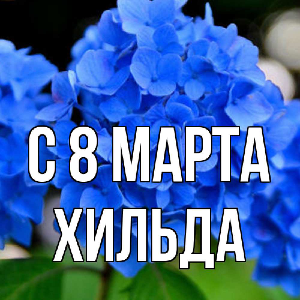 Открытка на каждый день с именем, Хильда C 8 МАРТА синие цветы Прикольная открытка с пожеланием онлайн скачать бесплатно 