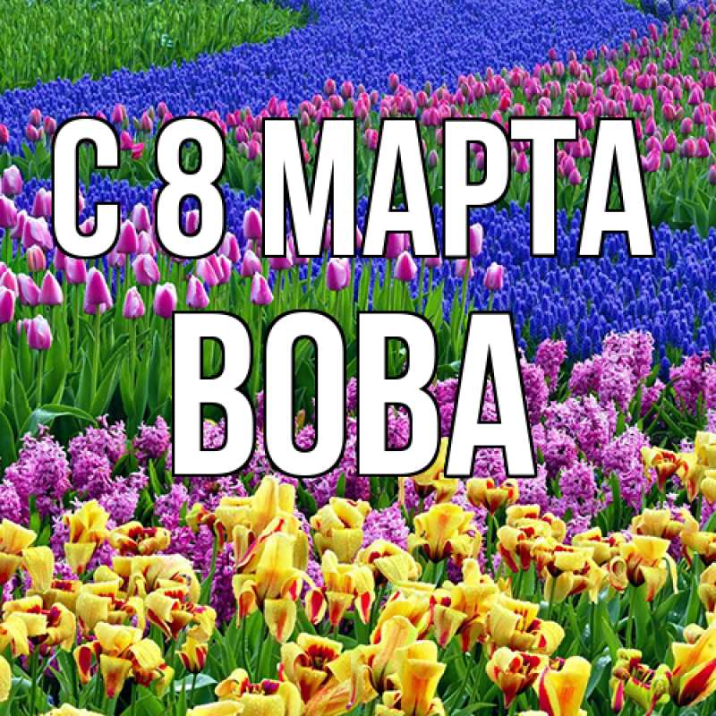 Картинка C 8 МАРТА, Вова
