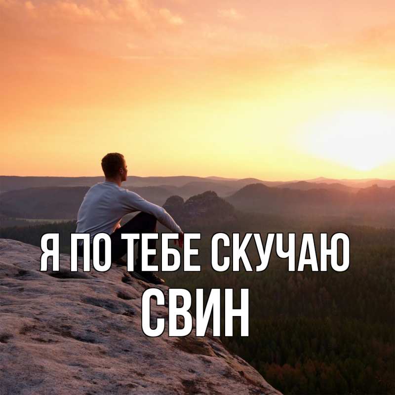 Картинка Я по тебе скучаю, Свин