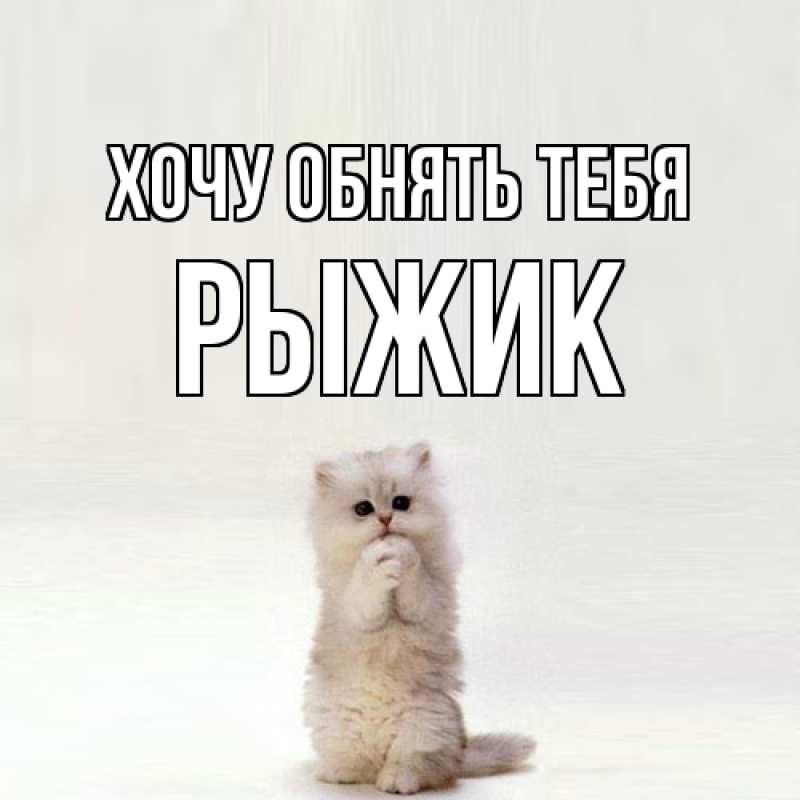 Картинка Хочу обнять тебя, рыжик