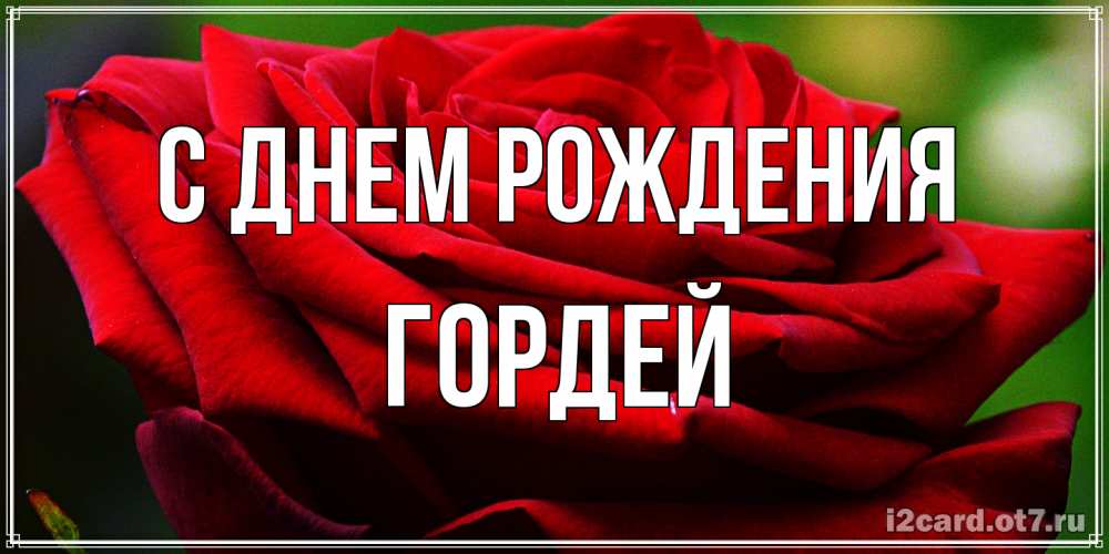 Открытка на каждый день с именем, Гордей С днем рождения розочка очень красивая Прикольная открытка с пожеланием онлайн скачать бесплатно 