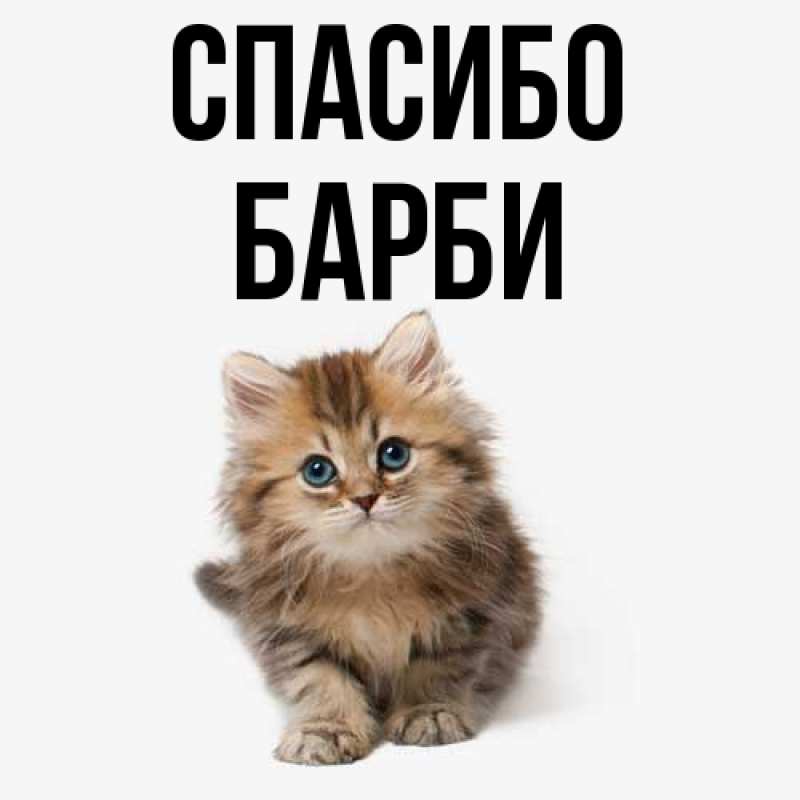Картинка Спасибо, Барби