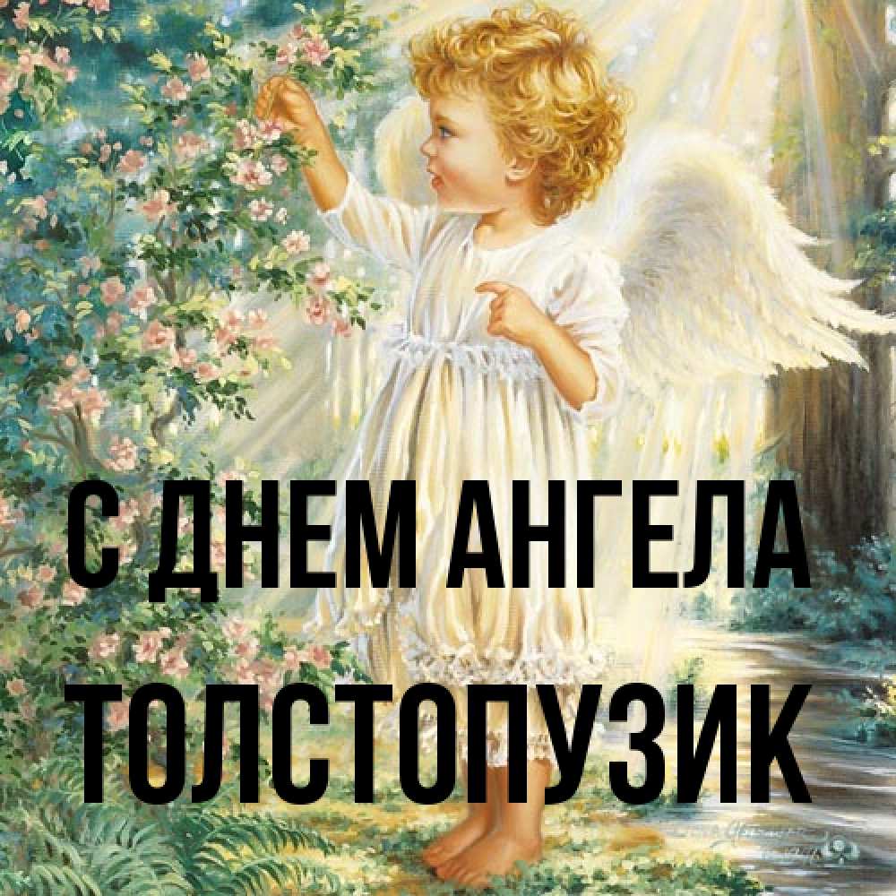 Открытка на каждый день с именем, Толстопузик С днем ангела собирает цветы Прикольная открытка с пожеланием онлайн скачать бесплатно 