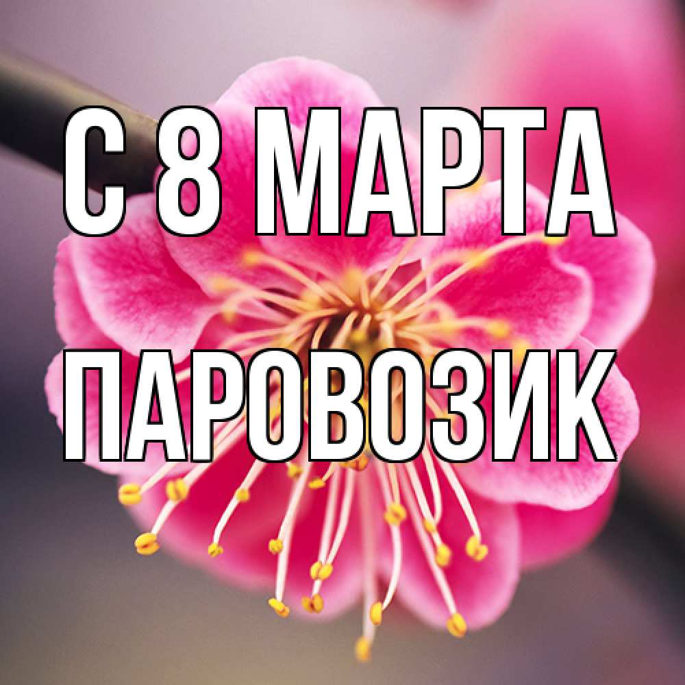 Открытка на каждый день с именем, паровозик C 8 МАРТА цветы Прикольная открытка с пожеланием онлайн скачать бесплатно 