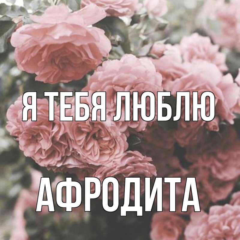 Картинка Я тебя люблю, Афродита