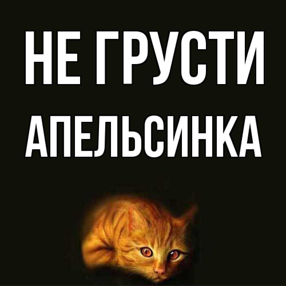 Открытка на каждый день с именем, апельсинка Не грусти лежащий кот в темноте Прикольная открытка с пожеланием онлайн скачать бесплатно 