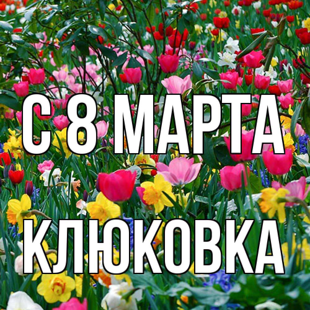 Открытка на каждый день с именем, клюковка C 8 МАРТА с международным женским днем поздравления для женщины Прикольная открытка с пожеланием онлайн скачать бесплатно 