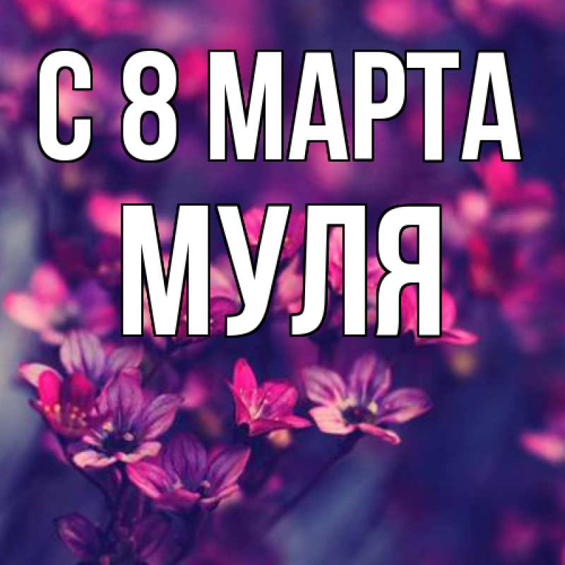 Картинка C 8 МАРТА, Муля