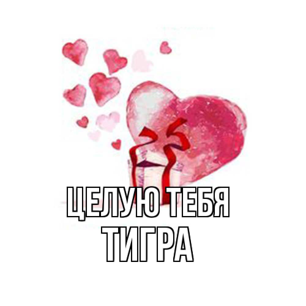 Открытка на каждый день с именем, Тигра Целую тебя признание в любви для парня или девушки Прикольная открытка с пожеланием онлайн скачать бесплатно 