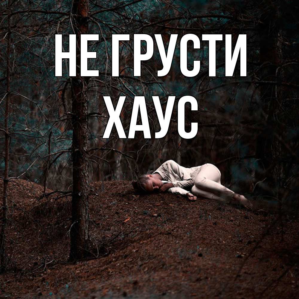 Открытка на каждый день с именем, Хаус Не грусти лес Прикольная открытка с пожеланием онлайн скачать бесплатно 