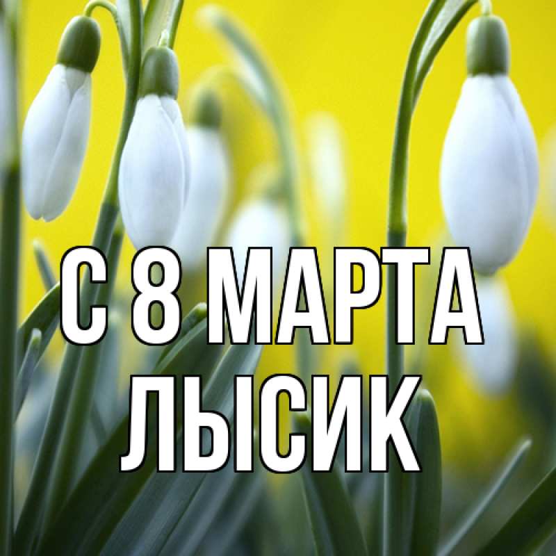 Картинка C 8 МАРТА, Лысик