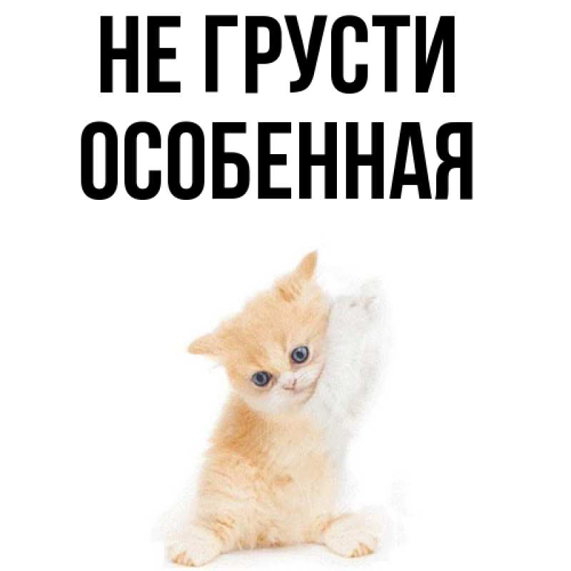 Картинка Не грусти, Особенная