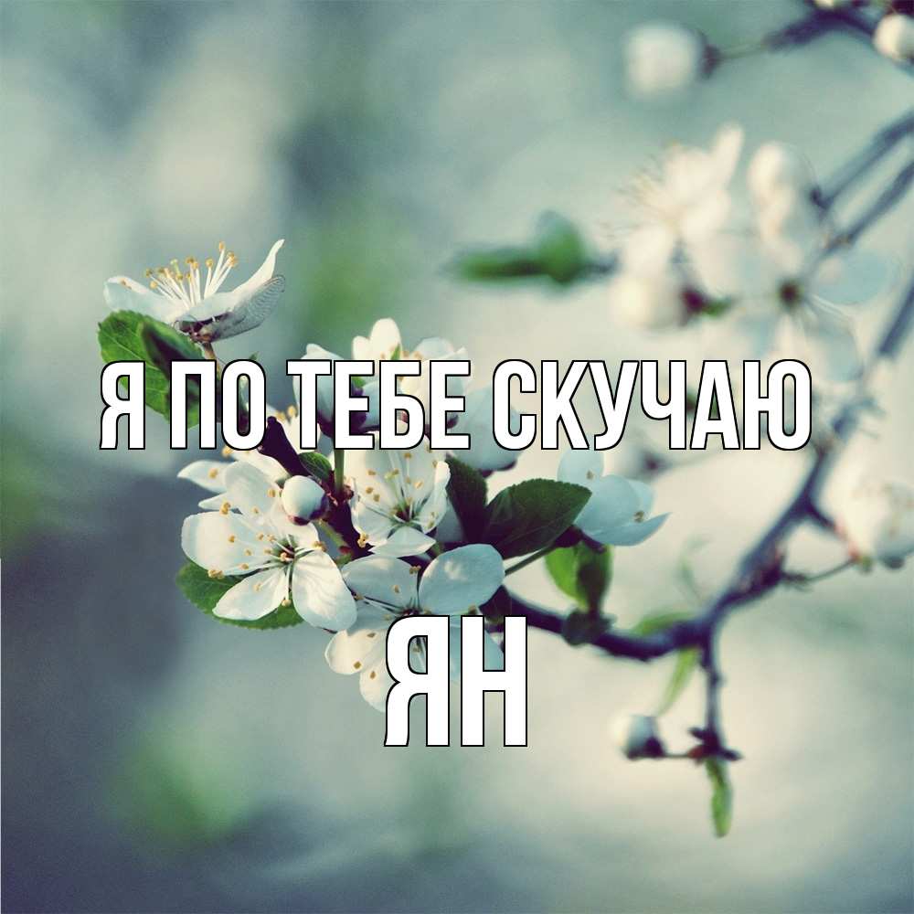 Открытка на каждый день с именем, Ян Я по тебе скучаю весна Прикольная открытка с пожеланием онлайн скачать бесплатно 