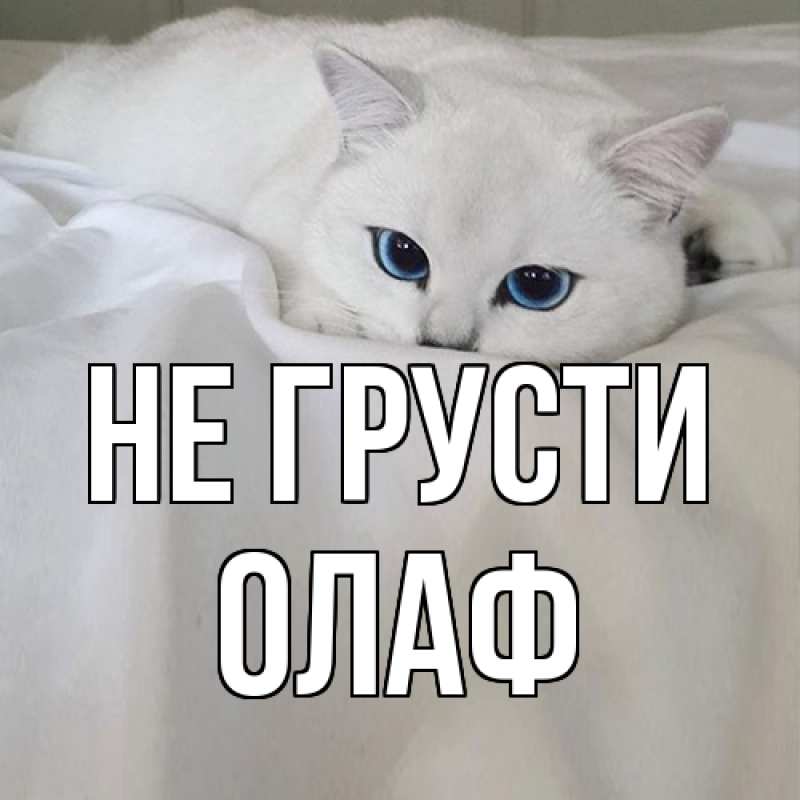 Картинка Не грусти, Олаф