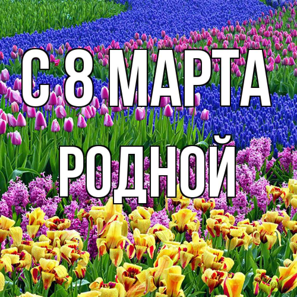 Открытка на каждый день с именем, Родной C 8 МАРТА цветы Прикольная открытка с пожеланием онлайн скачать бесплатно 