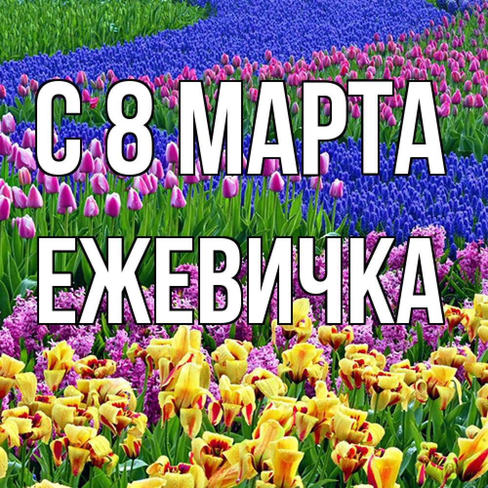 Открытка на каждый день с именем, ежевичка C 8 МАРТА цветы Прикольная открытка с пожеланием онлайн скачать бесплатно 