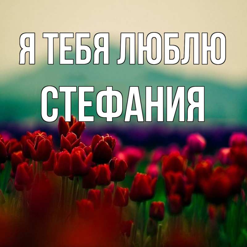Картинка Я тебя люблю, Стефания