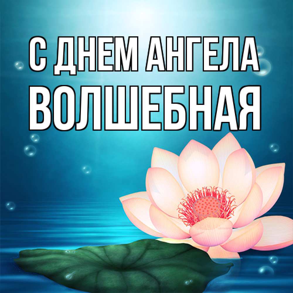 Открытка на каждый день с именем, Волшебная С днем ангела кувшинка Прикольная открытка с пожеланием онлайн скачать бесплатно 