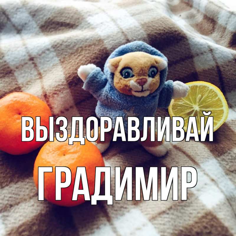 Картинка Выздоравливай, Градимир