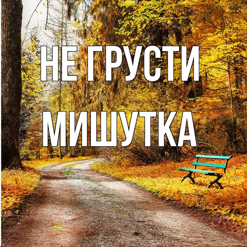 Открытка на каждый день с именем, Мишутка Не грусти зеленая лавочка Прикольная открытка с пожеланием онлайн скачать бесплатно 