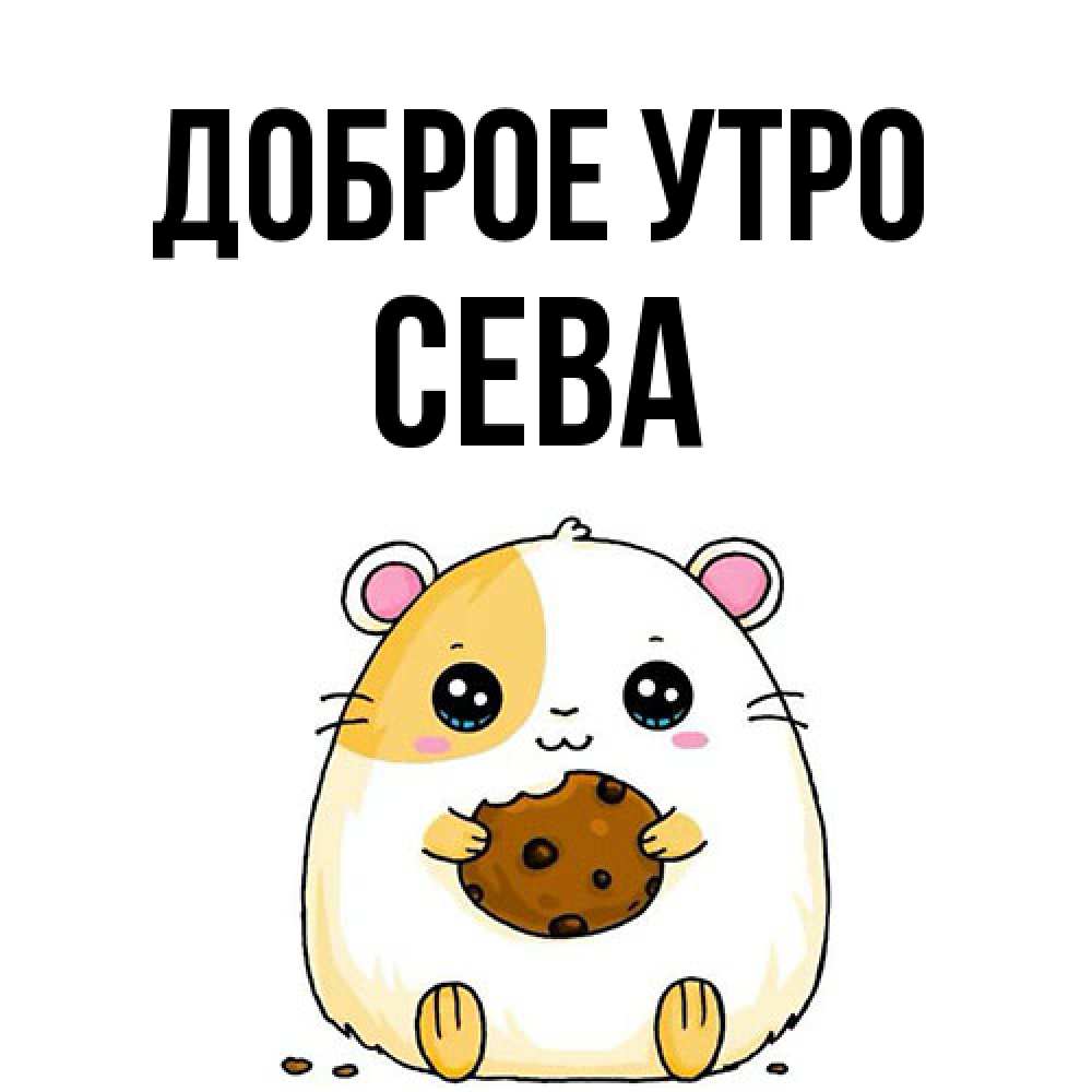 Открытка на каждый день с именем, Сева Доброе утро есть печеньку. Утречко Прикольная открытка с пожеланием онлайн скачать бесплатно 