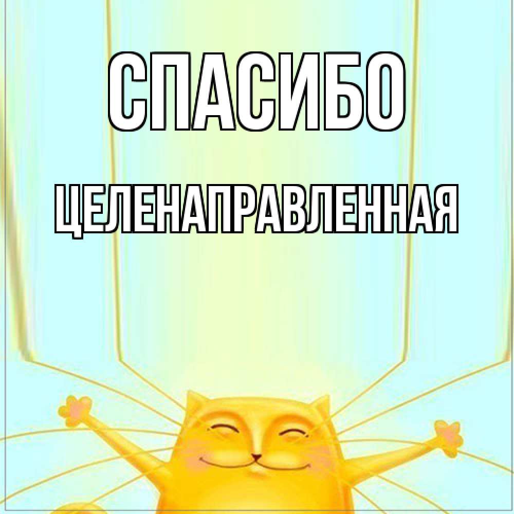 Открытка на каждый день с именем, целенаправленная Спасибо кот с усами благодарит Прикольная открытка с пожеланием онлайн скачать бесплатно 