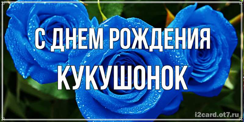 Картинка С днем рождения, кукушонок