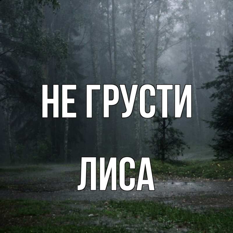 Картинка Не грусти, лиса