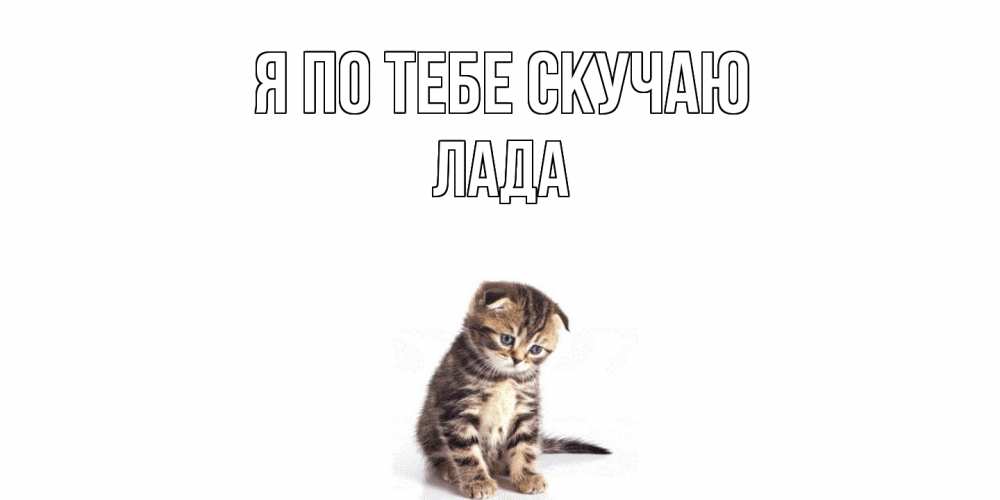 Открытка на каждый день с именем, Лада Я по тебе скучаю кот Прикольная открытка с пожеланием онлайн скачать бесплатно 
