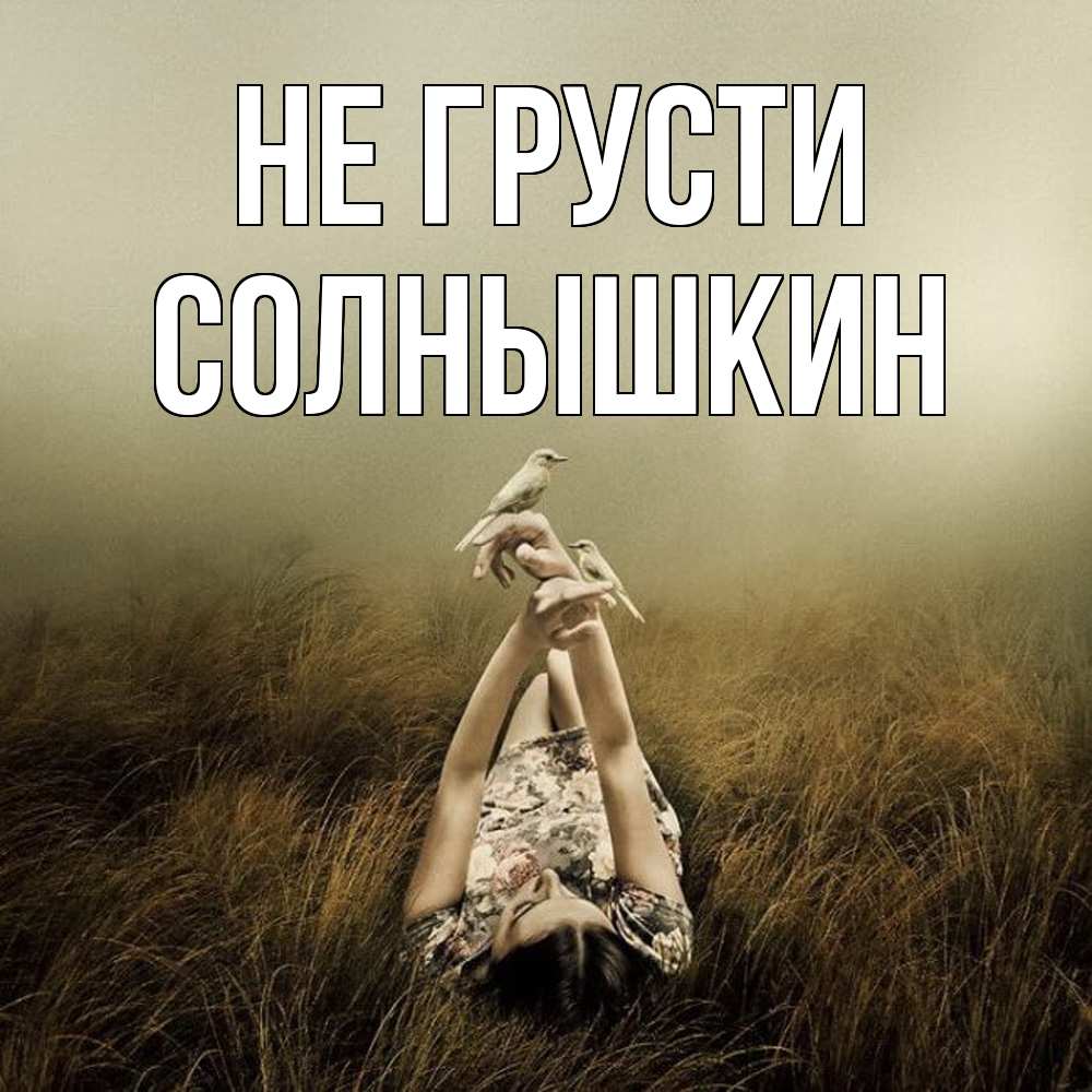 Открытка на каждый день с именем, Солнышкин Не грусти поле и туман Прикольная открытка с пожеланием онлайн скачать бесплатно 