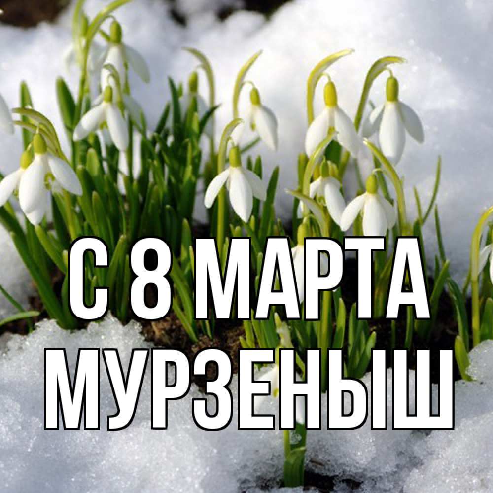 Открытка на каждый день с именем, мурзеныш C 8 МАРТА цветы весенние Прикольная открытка с пожеланием онлайн скачать бесплатно 